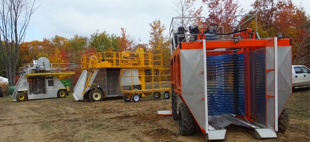 Blueberry_Story_606x279-606x279